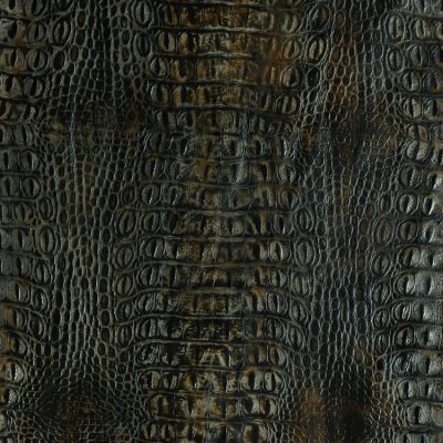 Aged Gator Gray