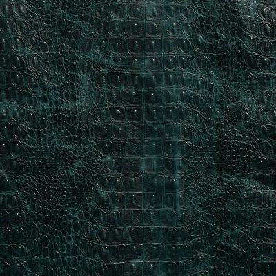 Atlanna Teal