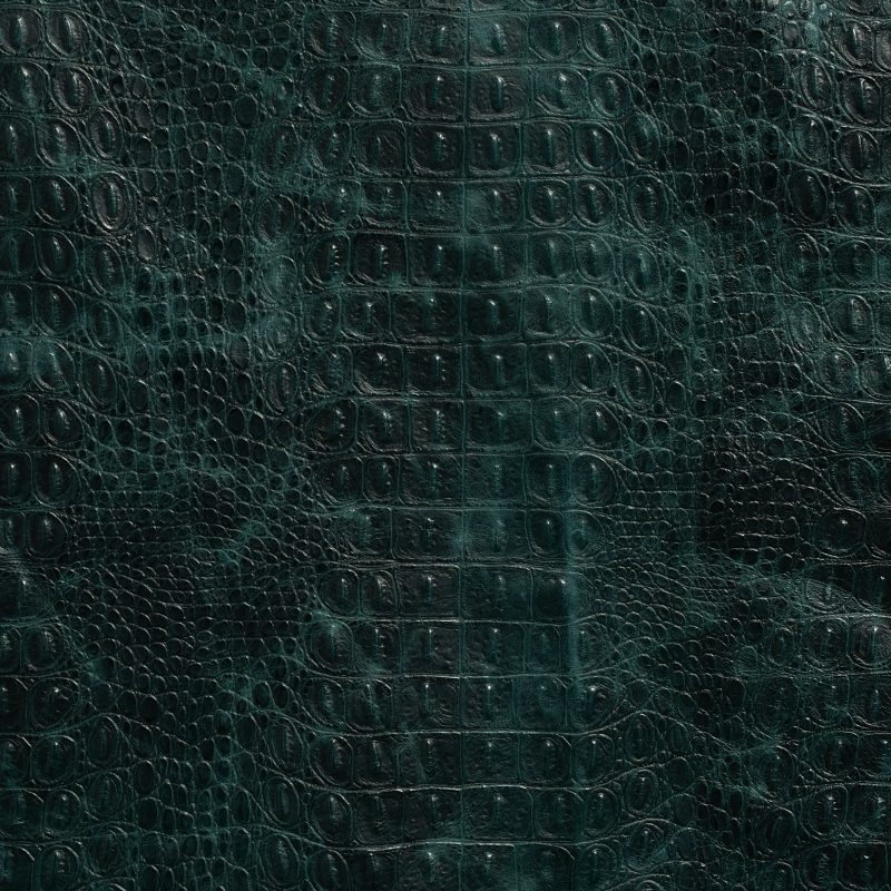 Photo of Atlanna Teal