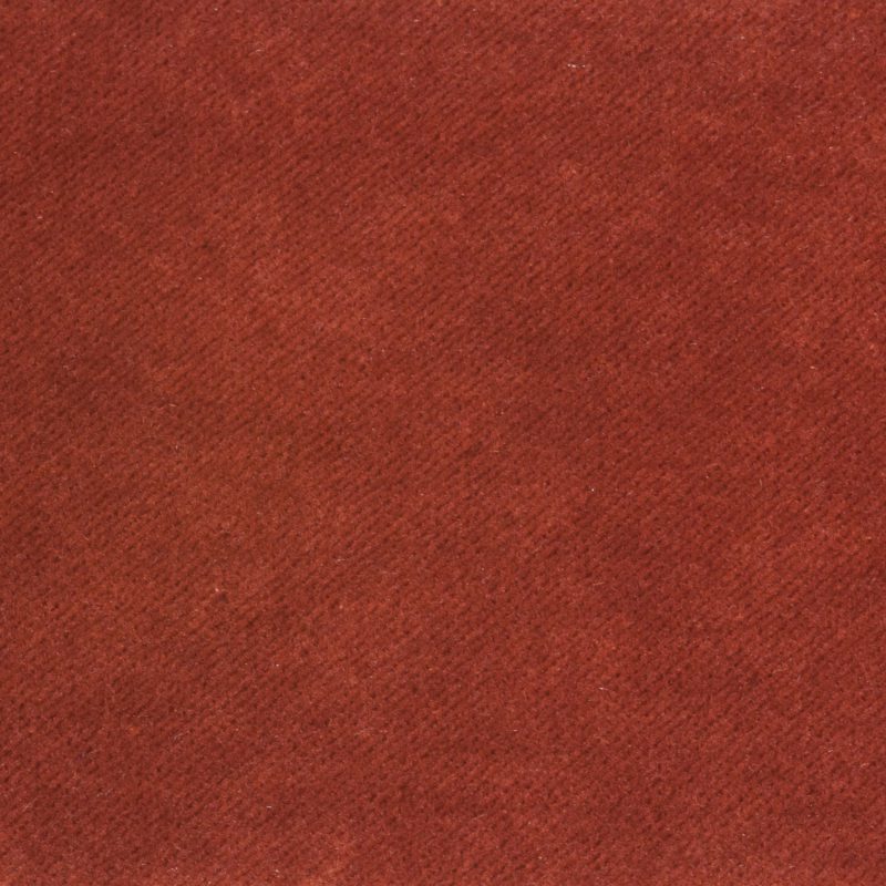 Photo of Banks Zinnia