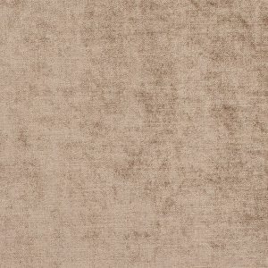 Borodin Camel