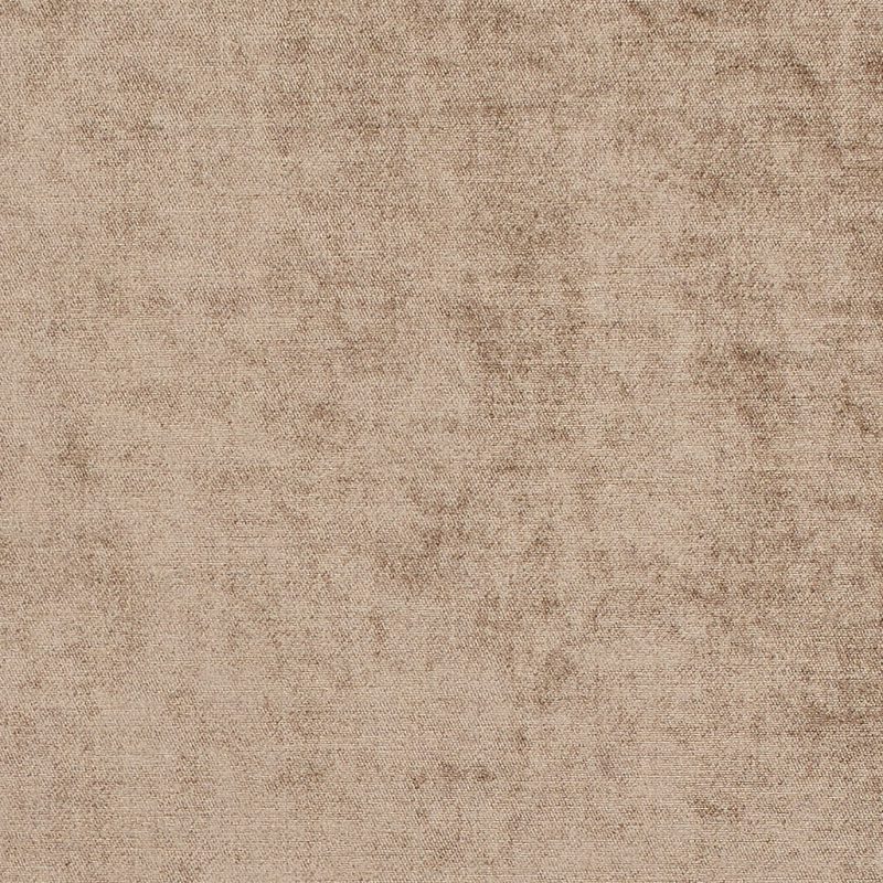 Photo of Borodin Camel
