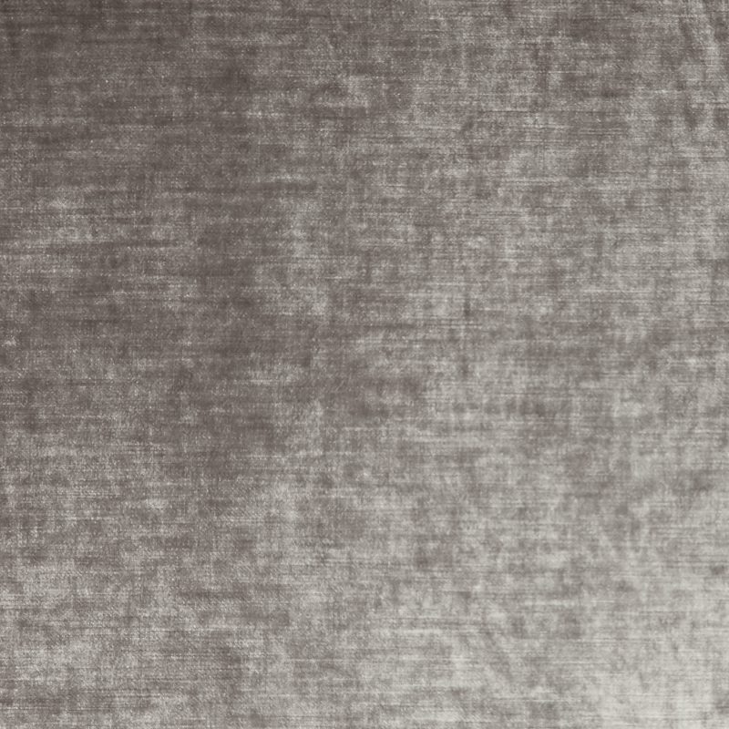 Photo of Borodin Dove