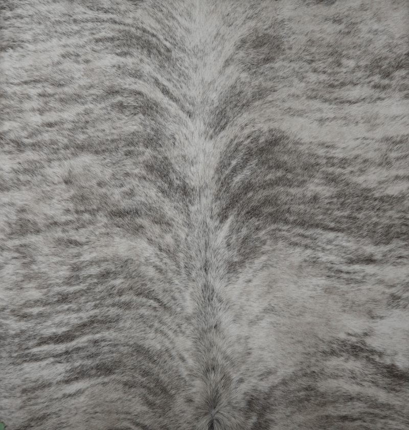 Photo of Brindle Gray