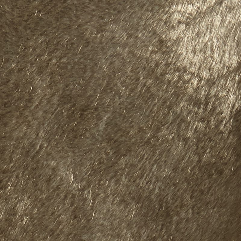 Photo of Champagne Gold