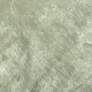 Champagne Silver