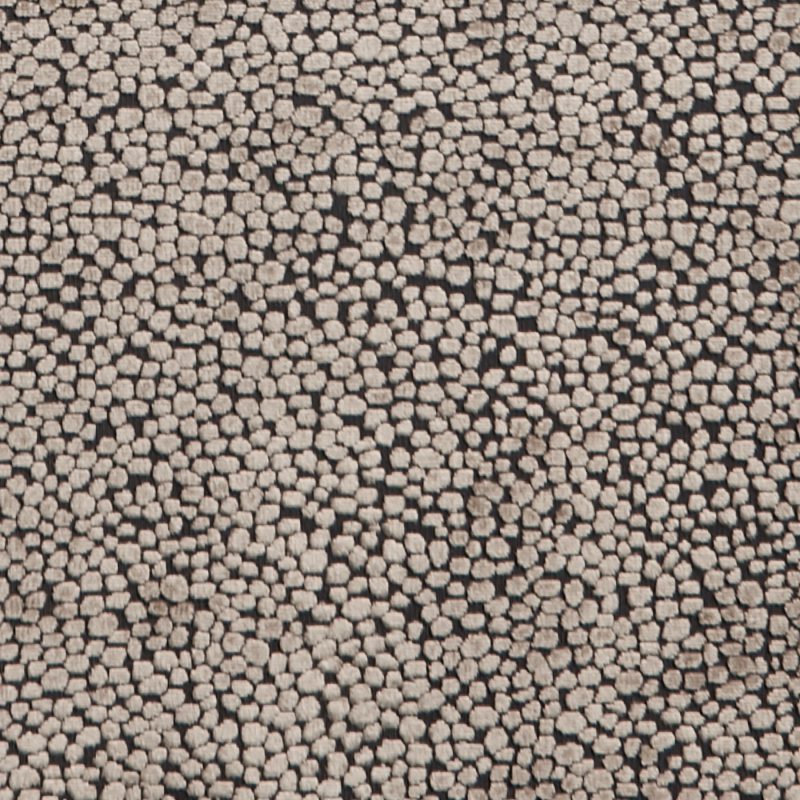 Photo of Dots Flax
