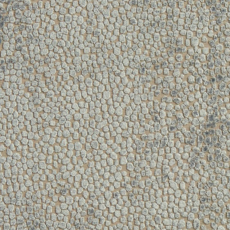 Photo of Dots Shark