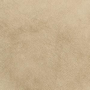 Domain Sand