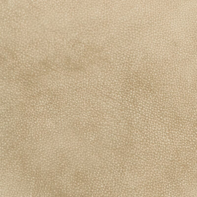 Domain Sand