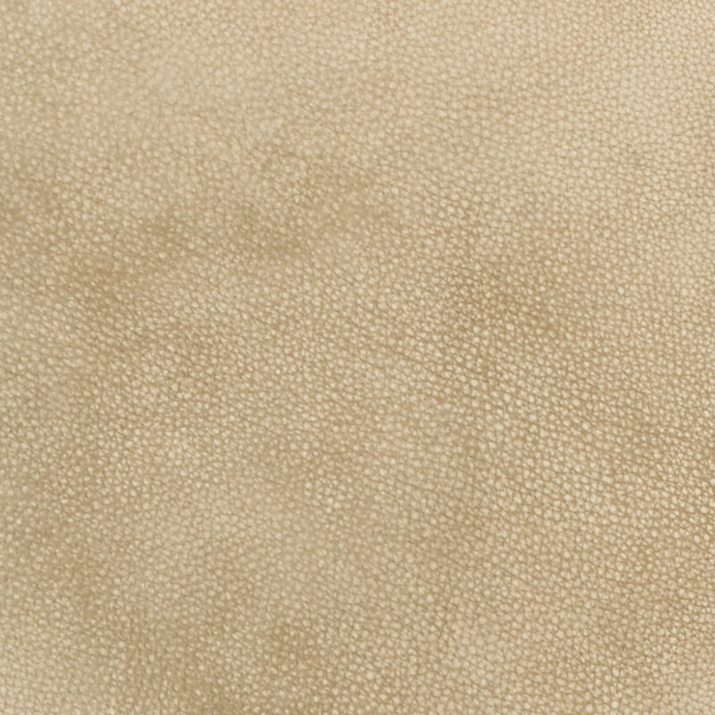 Photo of Domain Sand