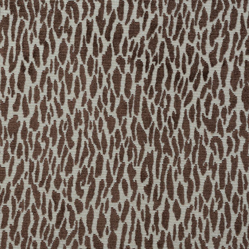 Photo of Fleck Chocolate