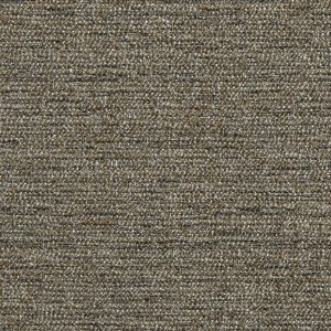 Finch Feather
