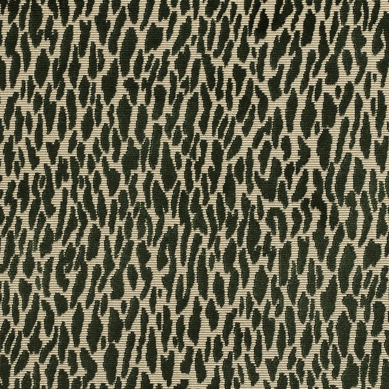Photo of Fleck Emerald