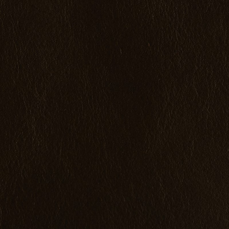 Photo of Harness Chocolate