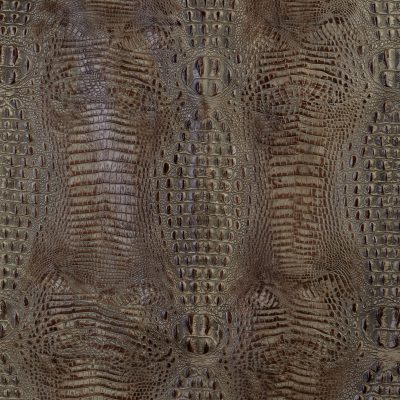 Hornback Taupe