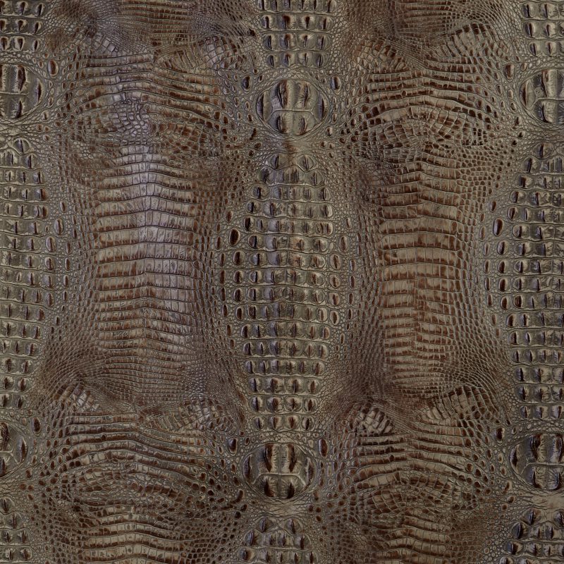 Photo of Hornback Taupe