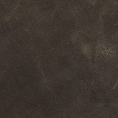 Mont Blanc Wolf