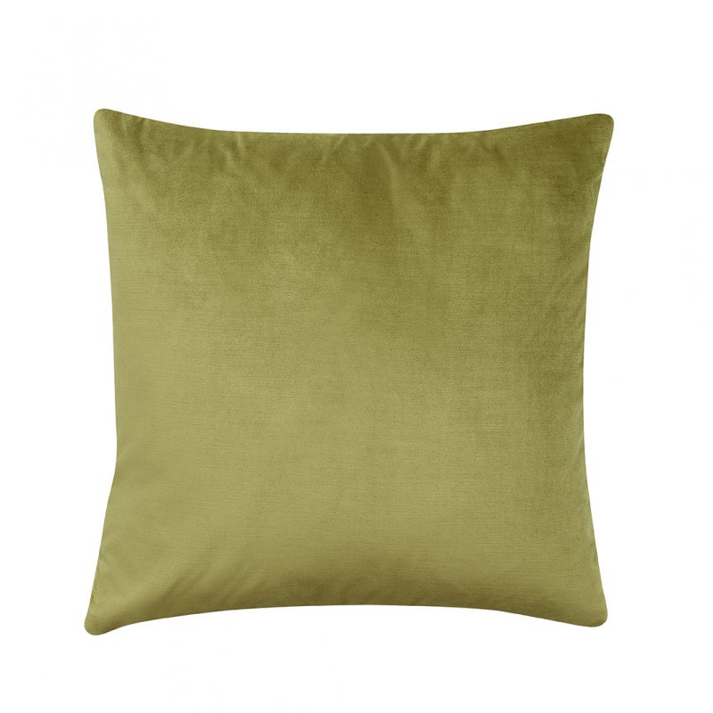 Photo of Titan Lime