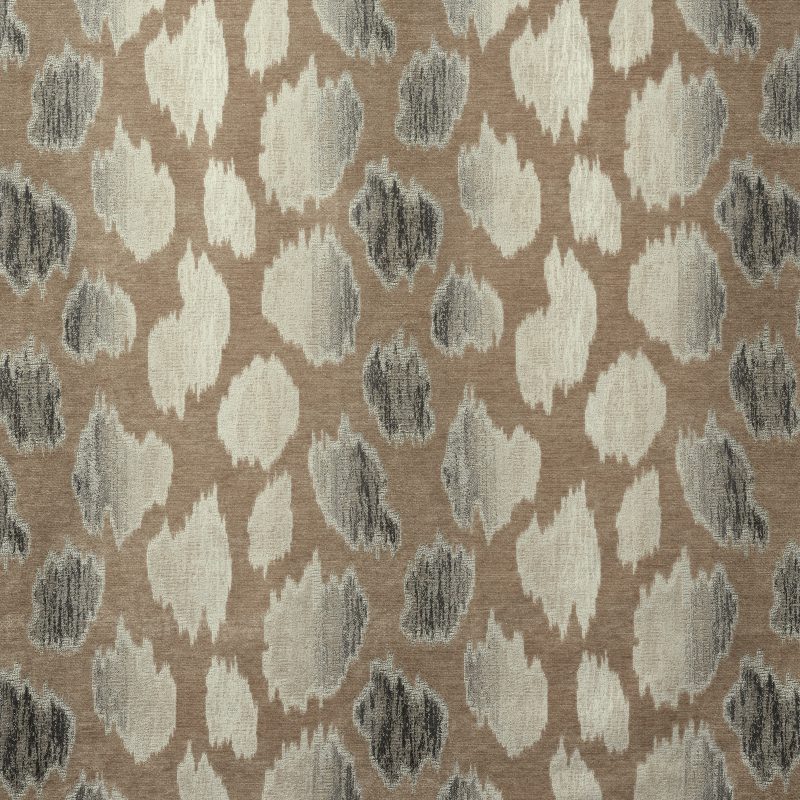 Photo of Quincy Taupe