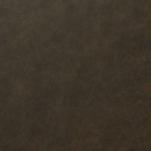 Saloon Cigar