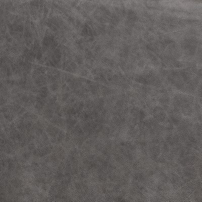 Saloon Fossil