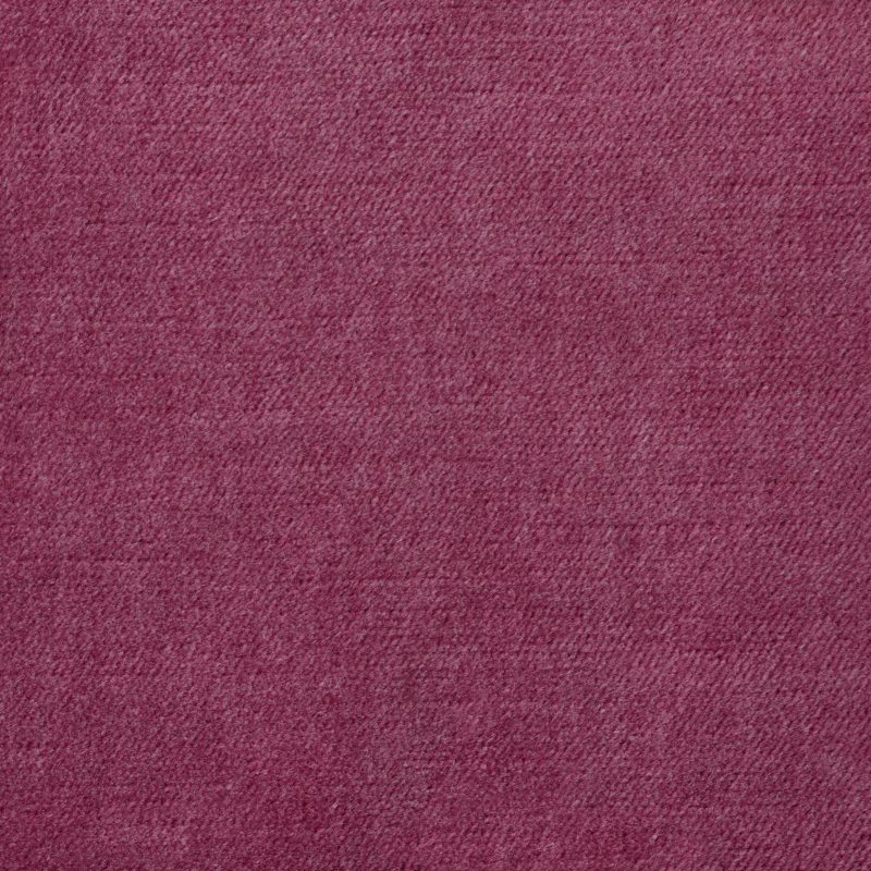 Photo of Soco Berry