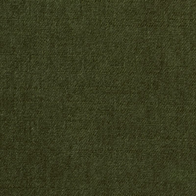 Photo of Soco Moss
