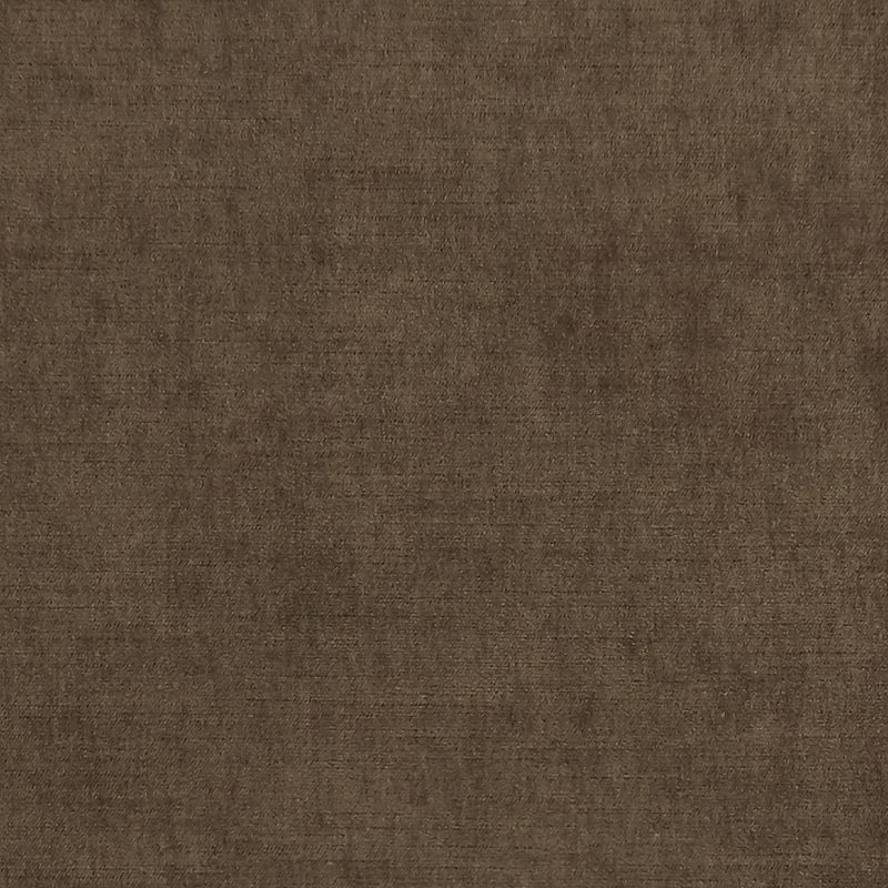 Photo of Soco Otter