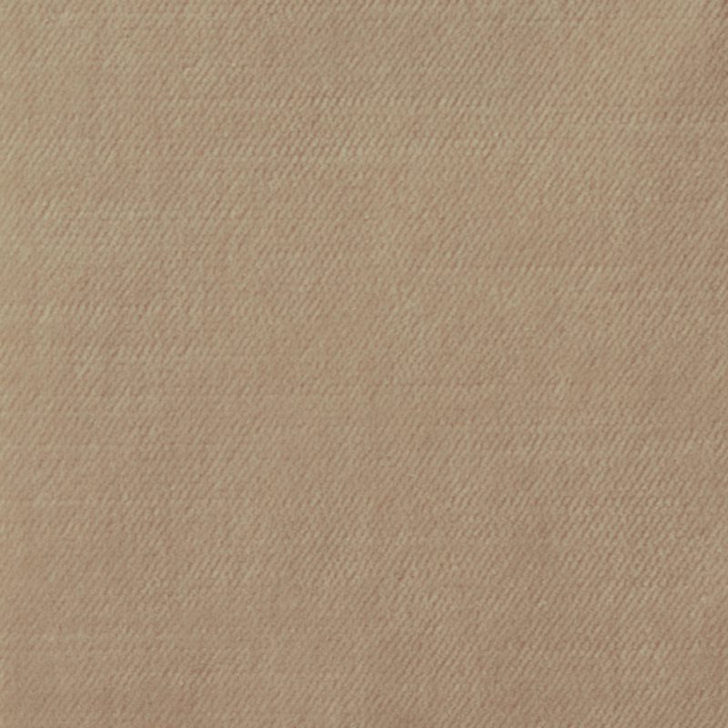 Photo of Soco Snow