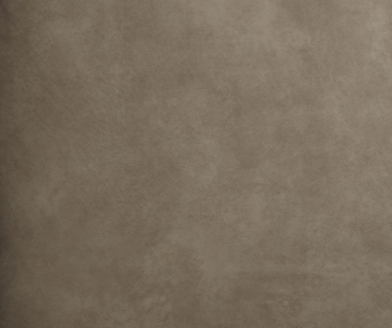 Photo of Stargo Dove