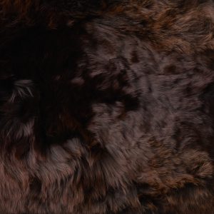 Suri Chestnut