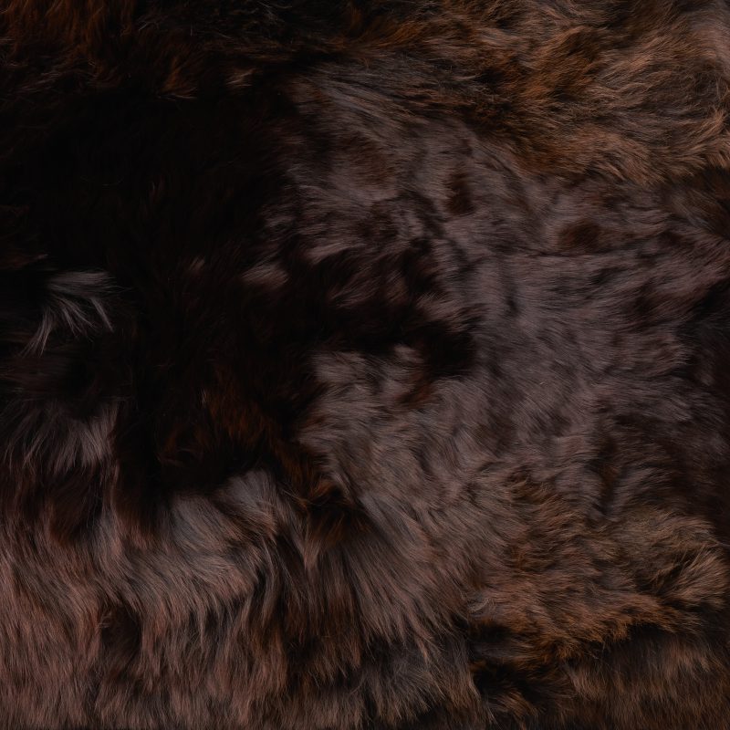 Photo of Suri Chestnut