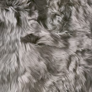 Suri Cloud