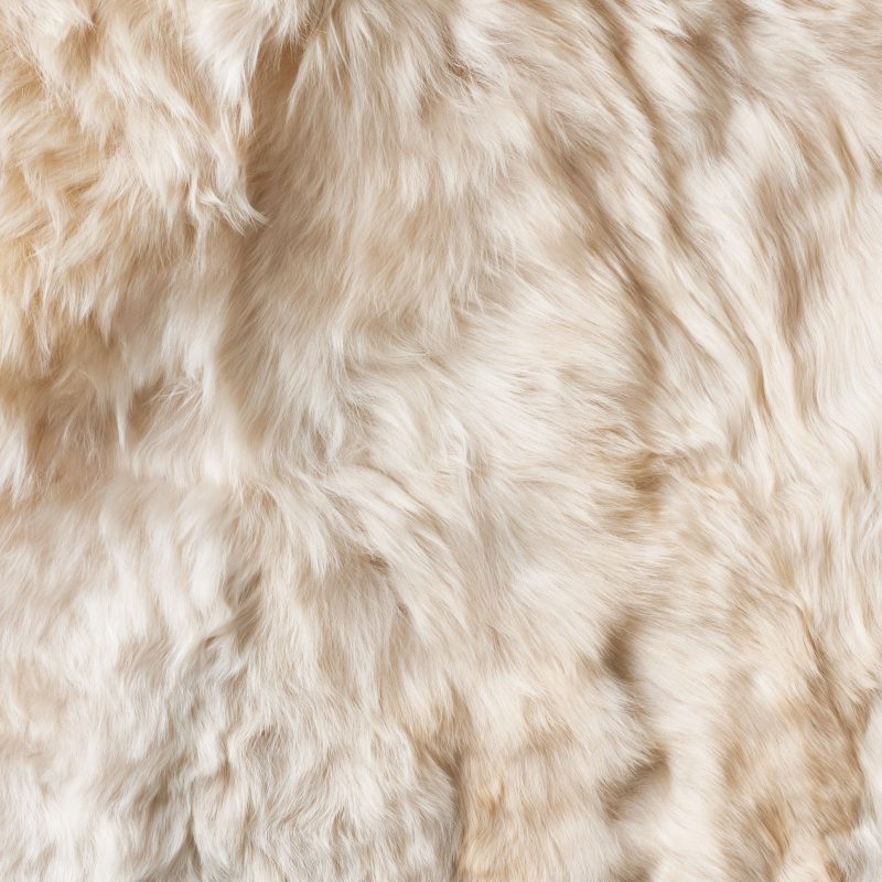 Photo of Suri Linen