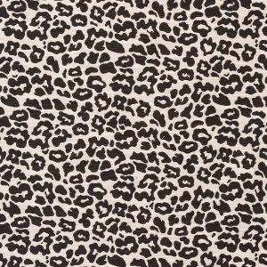 Tabby Black