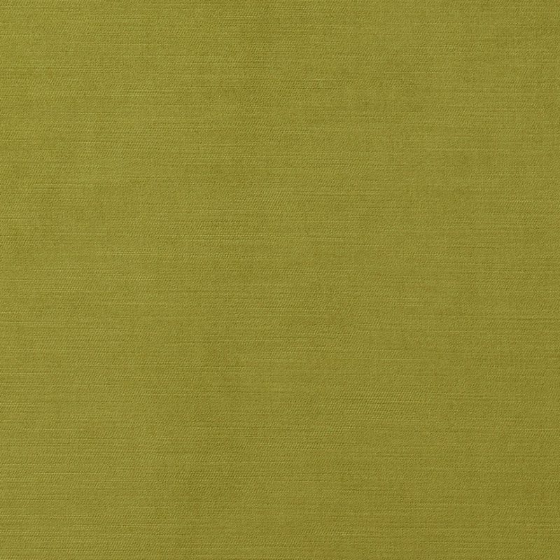 Photo of Titan Lime