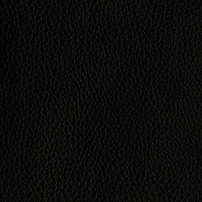 Tribeca Black