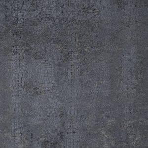 Wendy Charcoal