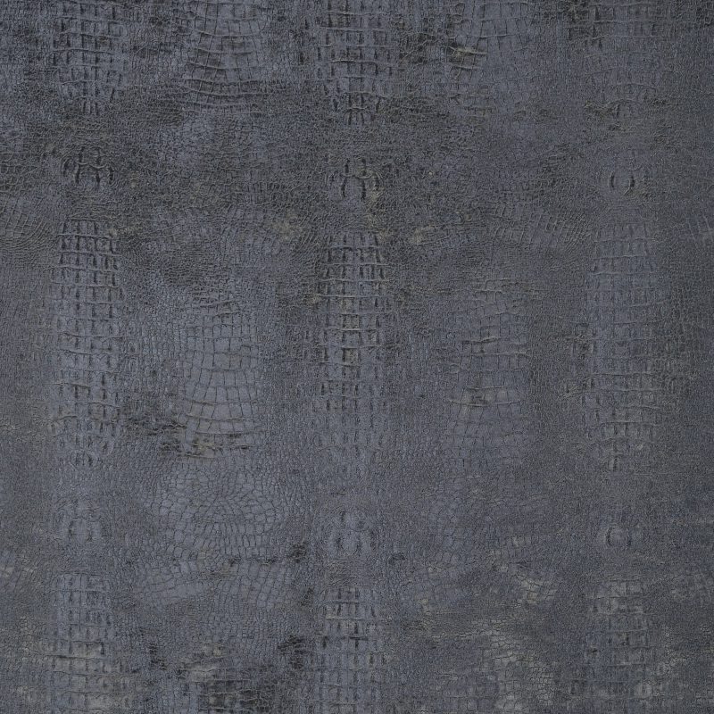 Photo of Wendy Charcoal