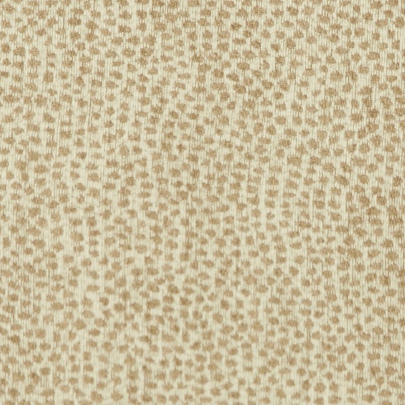 Photo of Yambo Cashmere