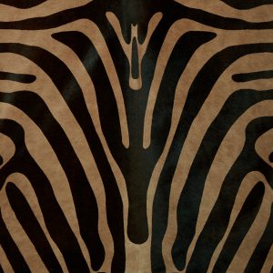 Zebra Caramel