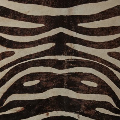 Zebra Washed