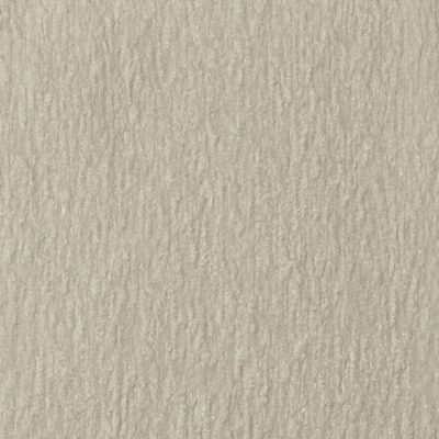 Dream Canvas