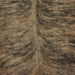Brindle Tan