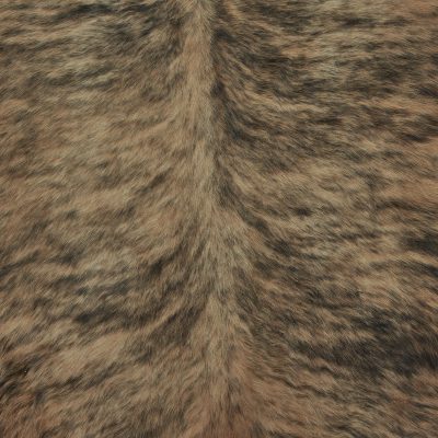 Brindle Tan