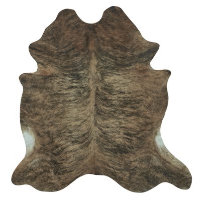 Photo of Brindle Tan