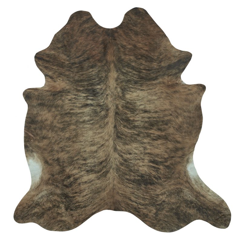 Photo of Brindle Tan