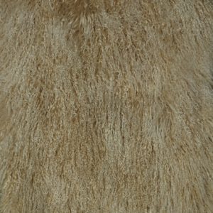 Tibetan Beige