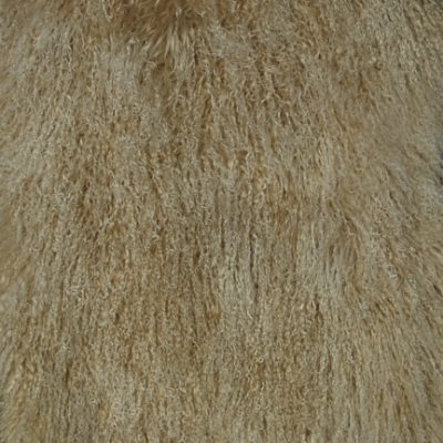 Tibetan Beige